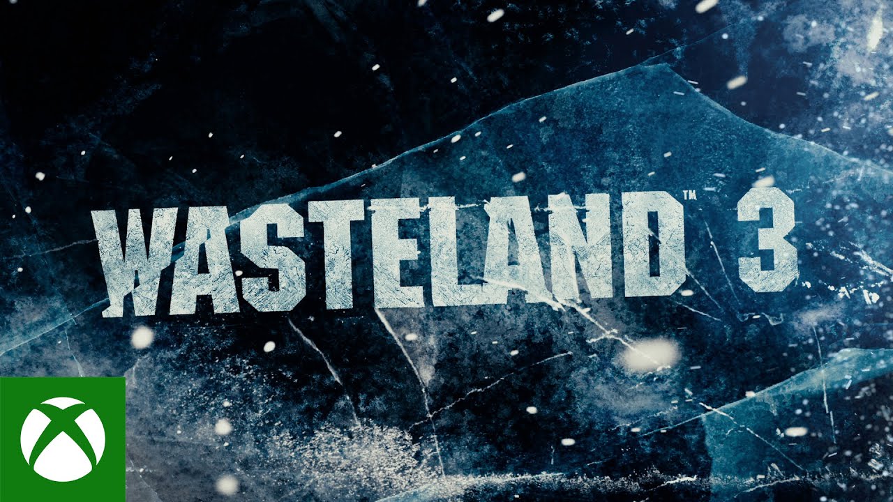 Kooperace ve Wasteland 3