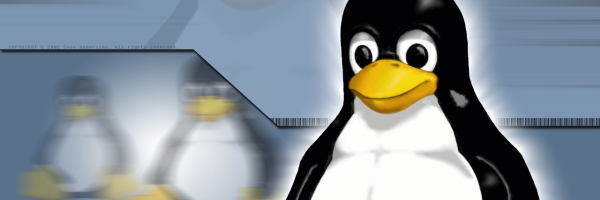 Dočkáme se Steamu také na Linuxu?