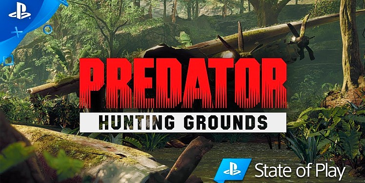 PlayStation State of Play: Predator H. Grounds