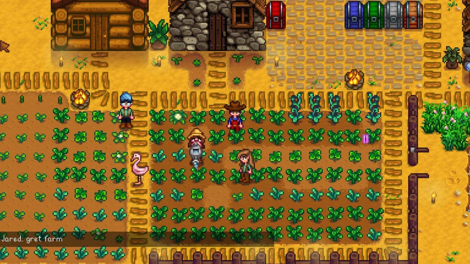 Obrázek z multiplayeru hry Stardew Valley