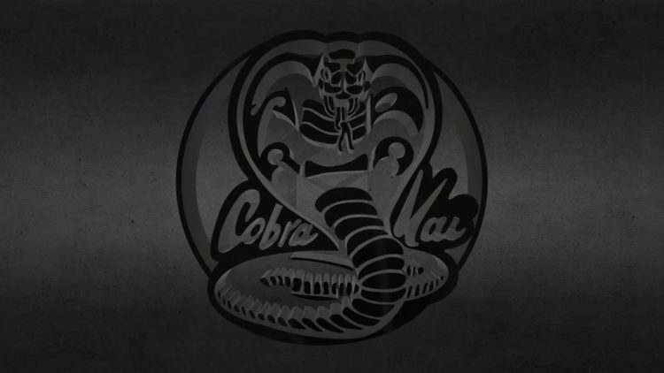 Oznámeno Cobra Kai 2: Dojos Rising