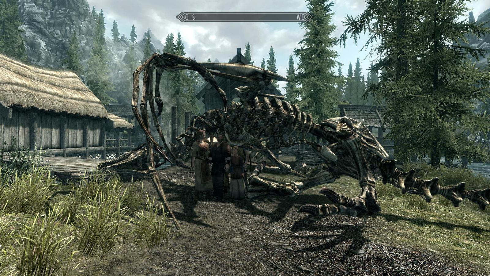 Recenze The Elder Scrolls V: Skyrim - mírně kritická recenze na titul roku.