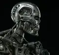 T800