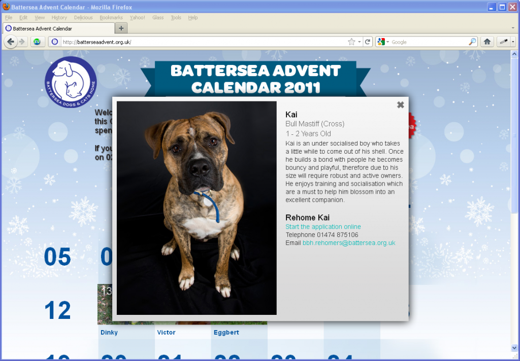 Battersea Dogs & Cats Home - A pet per day!