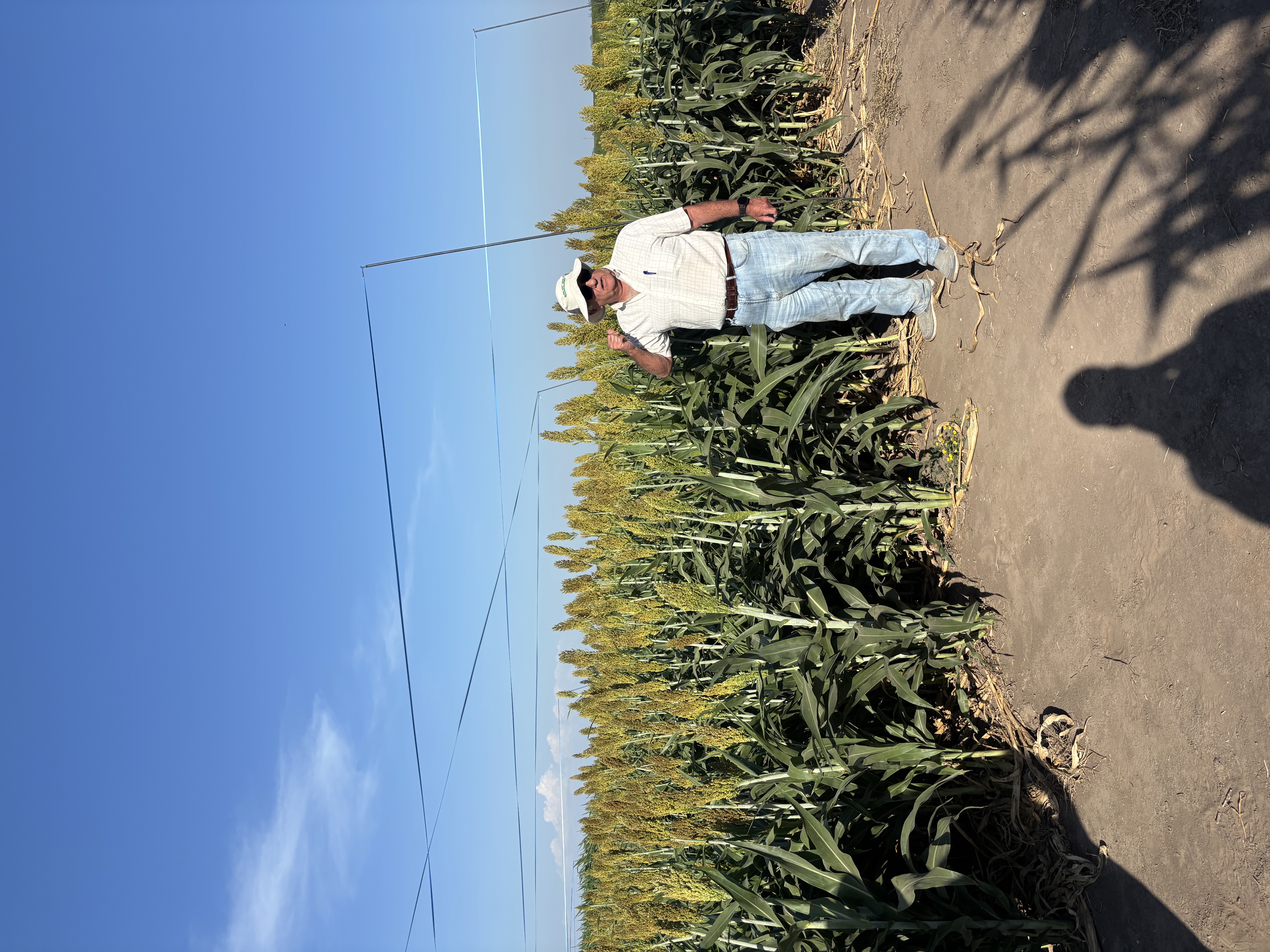 Lote de producción