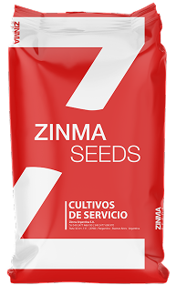 AVENA STRIGOSA ITACUA