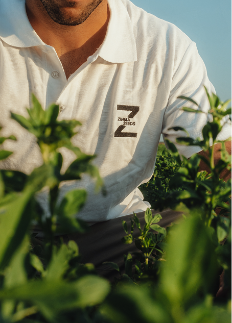Alfalfas Premium