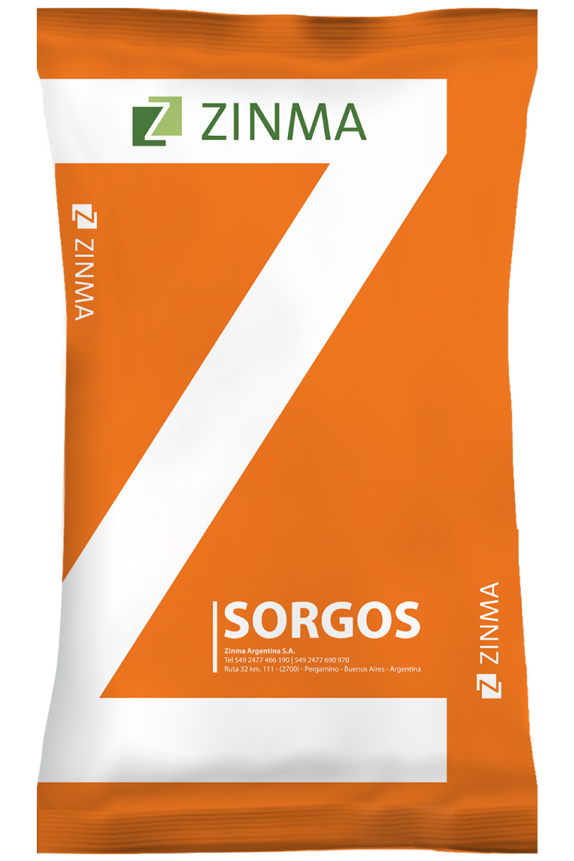 REPOLLO SONSMA RZ F1 - Agroser