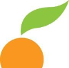 Citrus Studios logo