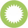 Vision Solar logo