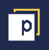 Panaseer logo