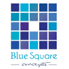 Blue Square Concepts logo