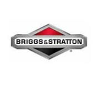 Briggs & Stratton logo
