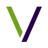 Vynamic logo