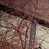 Spectralink logo