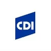 CDI Engineering Solutions, LLC logo