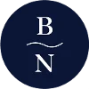 Blue Nile logo