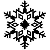 Snowflake Trading Corp. Ltd logo
