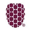 Dewberry logo