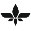 Lilium logo