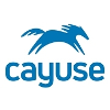 Cayuse logo
