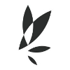 Flow Cannabis Co. logo