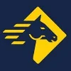 Paladin Security Group logo