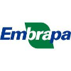 Embrapa logo