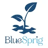 BlueSprig logo