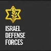 Israel Defense Forces logo