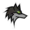 Dark Wolf Solutions logo