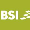 BSI logo