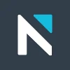 NELSON Worldwide logo