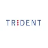 Trident Systems logo