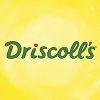Driscoll’s logo