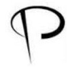 Progeny Systems Corp. logo