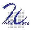 Data-Core Systems logo