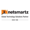 Netsmartz logo