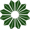 Community Options logo