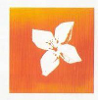 Banco BPI logo