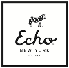 ECHO Design Group logo