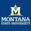 Montana State University logo