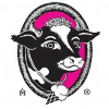 J.P Licks logo