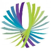 NaviNet logo