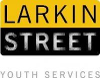 Larkin Street Youth Services logo