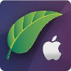 PeachMac logo