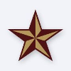 State of Texas logo