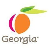 Georgia State Government logo