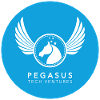 Pegasus Tech Ventures logo