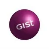Gist Ltd. logo